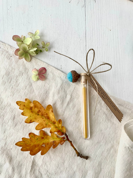 bijenwas kaarsje met gevilte eikeltje