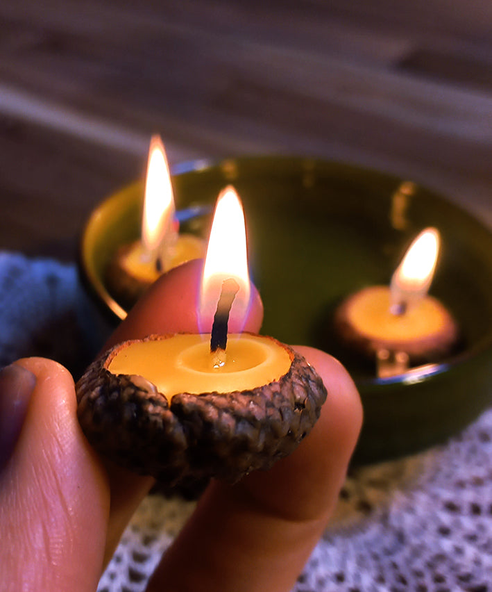 een bijenwas drijf kaarsje in een eikelhoedje van dichtbij