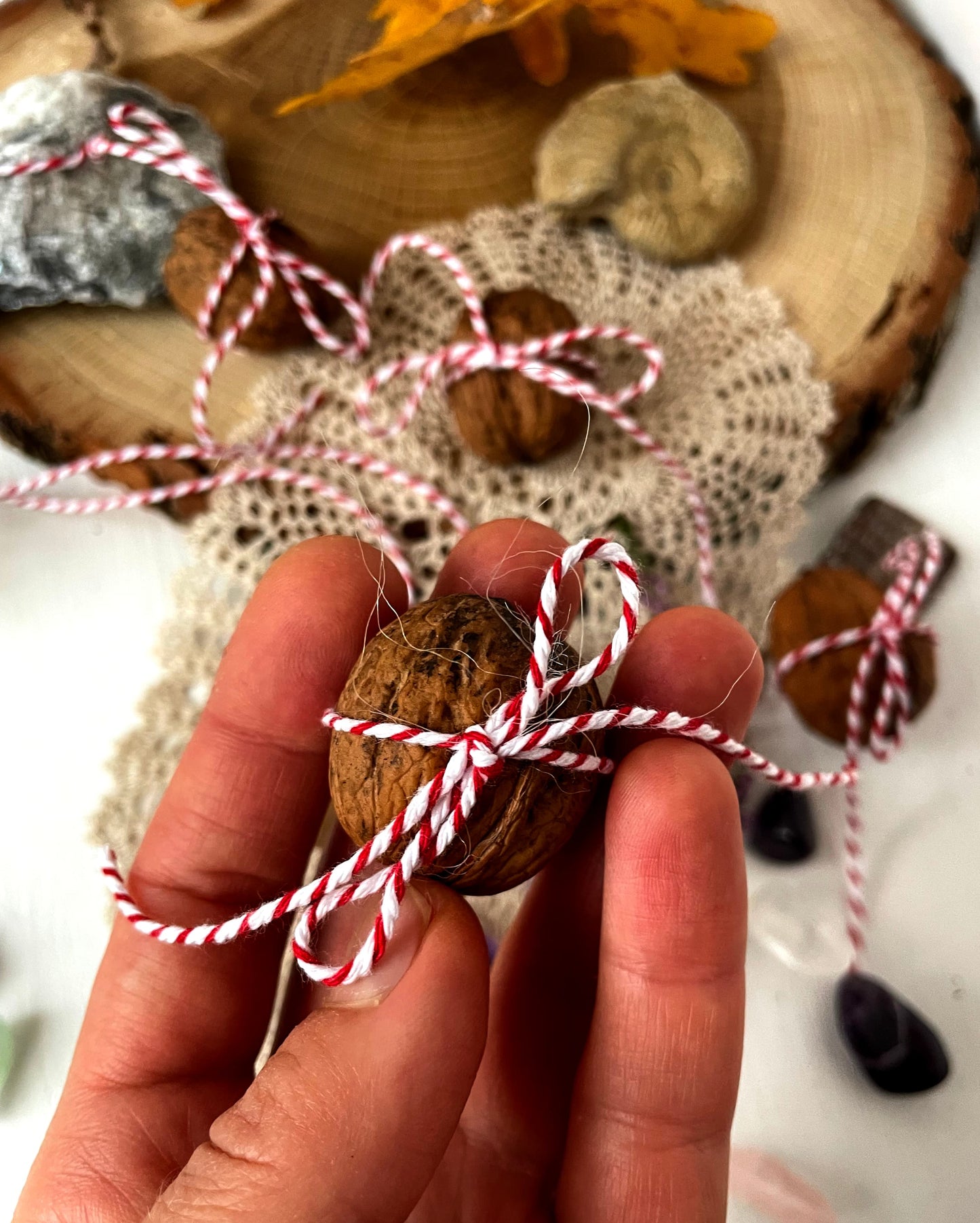 walnoot schat doosje natuur kleur in handen