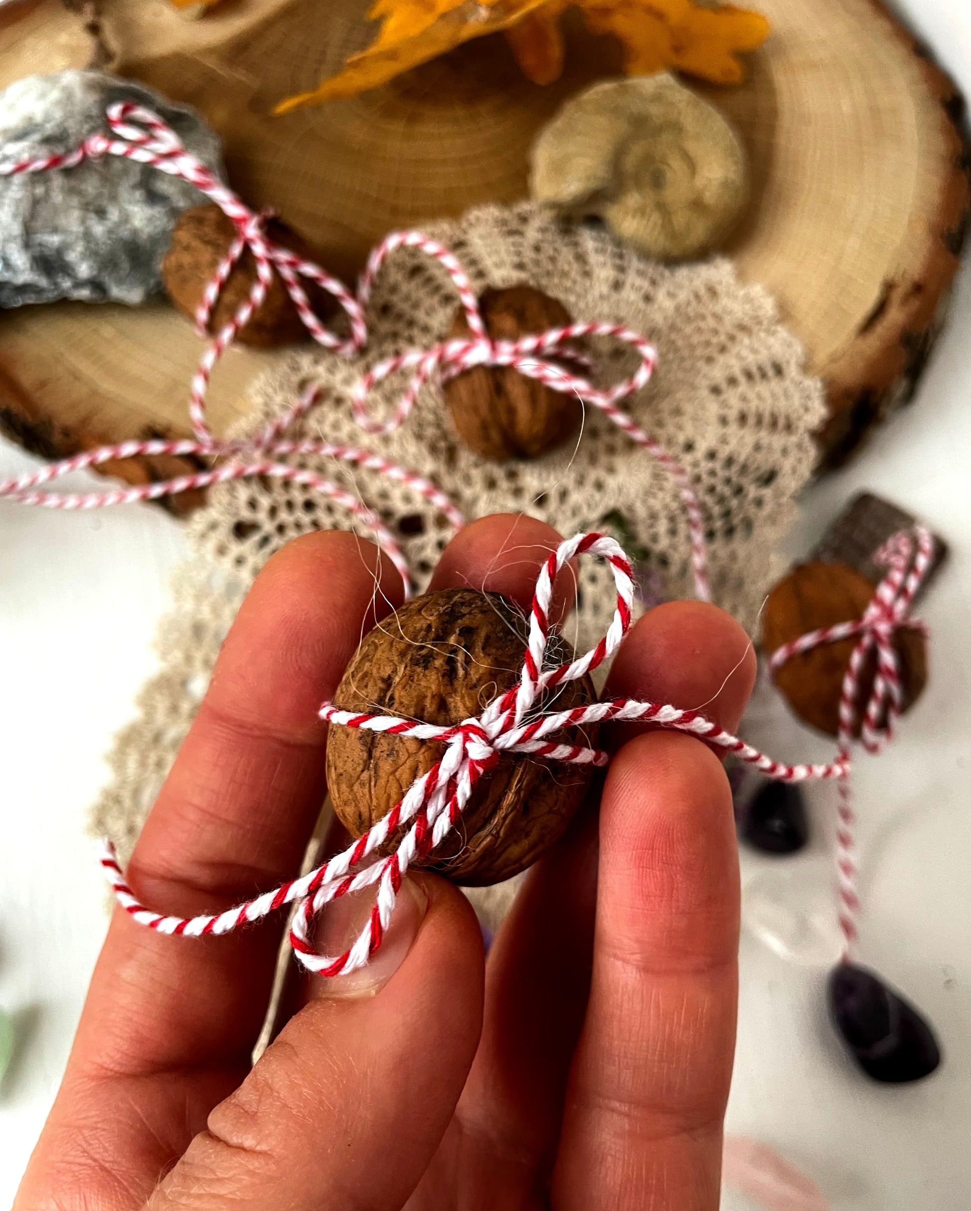 walnoot schat doosje natuur kleur in handen