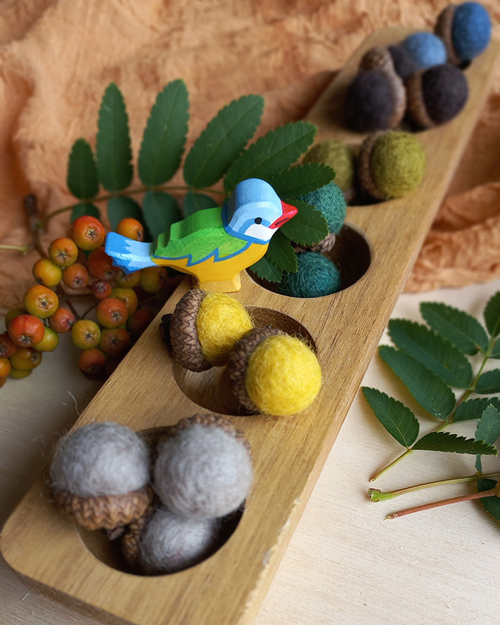 gevilte eikels gesorteerd op kleur